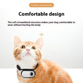a14c9ee4b6f84fd80b6fdbe4e965f954